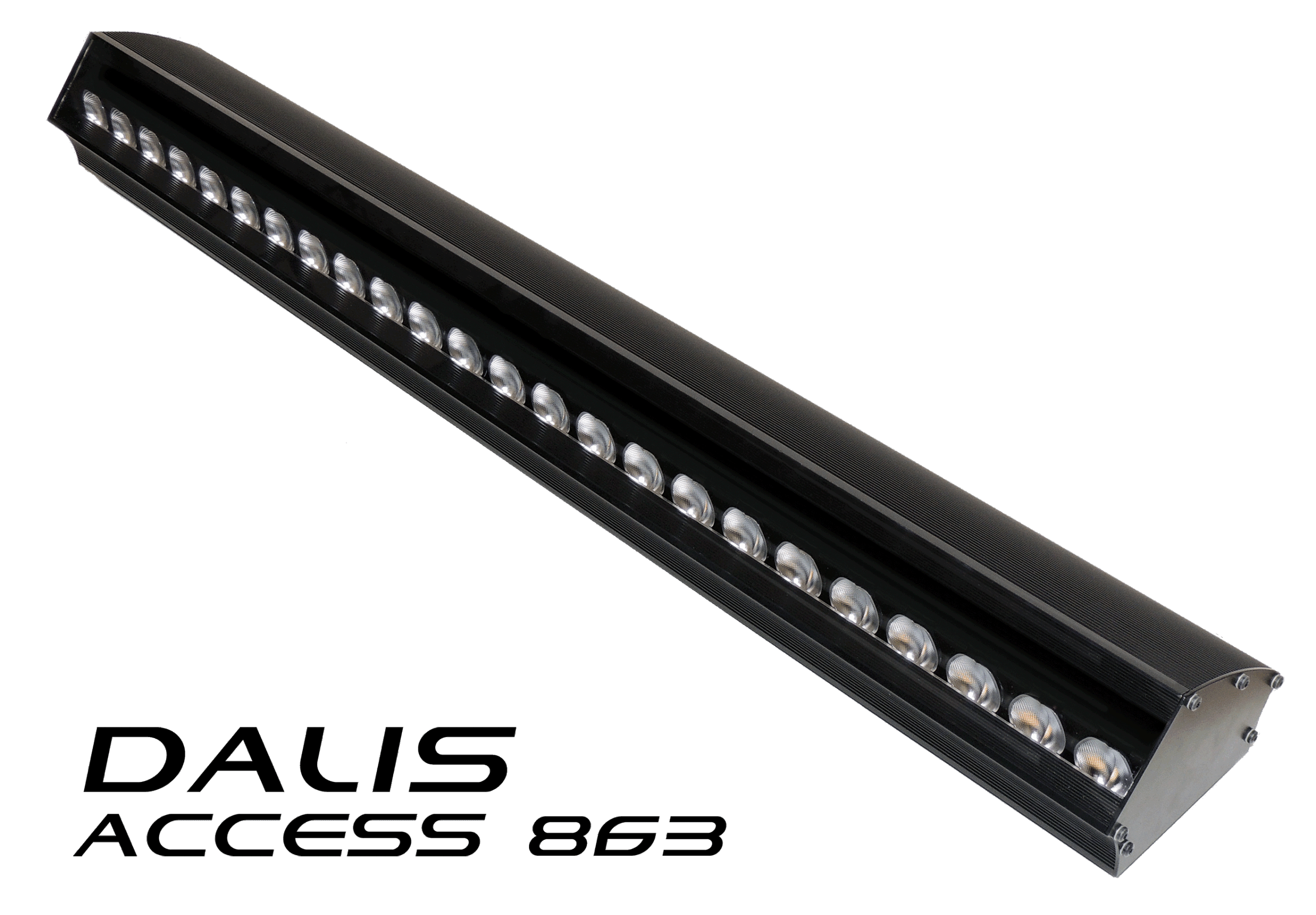 Dalis Access 863
